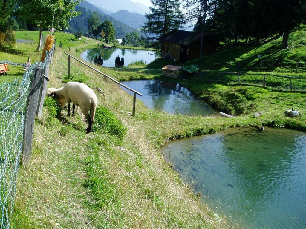 Innviertler Berggasthof Radstadt Bagian luar foto